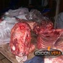 ALLANAN UNA VIVIENDA POR ABIGEATO EN VILLA MINETTI.