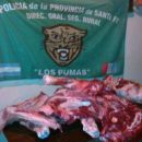Se decomisa carne vacuna y porcina, no apta para consumo humano