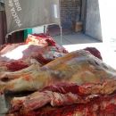 Villa Ocampo: aprehendidos y secuestros por abigeato.