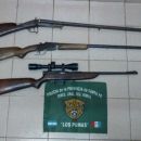Personal de los Pumas, secuestran varias armas de fuego.