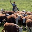 El sentir de los productores en el Norte de Santa Fe.
