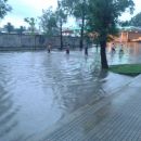 95 mm. fue el registro del pluviómetro en el día de hoy