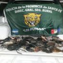 Robo de animales esclarecido por Los Pumas en Villa Ocampo.