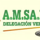 ULTIMO MICRO INFORMATIVO 2014 DE AMSAFE VERA