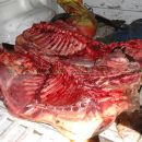 SECUESTRO DE 200 KG. DE CARNE VACUNA