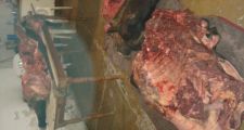 Personal de la Dirección General de Seguridad Rural “Los Pumas” esclarece ABIGEATO.-
