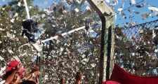 SARMIENTO PERDIO LA PRIMERA FINAL