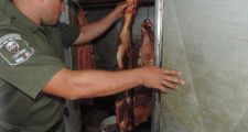 Secuestraron 580 kilos de carne vacuna en nueve allanamientos simultáneos en Villa Ana