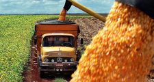 La tarifa para fletes de granos se incrementó en un 6 %