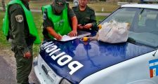 Decomiso de varias especies ictícolas