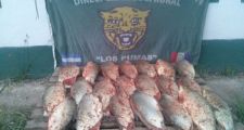 Varios procedimientos para desalentar la caza y pesca furtiva.
