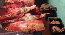 Operativos de la Guardia Rural Los Pumas
