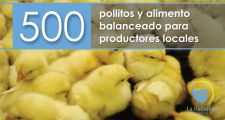 La Gallareta: SE ENTREGARON 500 POLLITOS Y ALIMENTO BALANCEADO PARA PRODUCTORES LOCALES