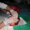 MUESTRA ANUAL DE CIENCIAS NATURALES