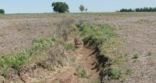 Erosión: El terrible avance de la agricultura sobre la ganadería