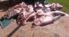 Secuestro de surubíes, dorados y 320 kg de aletas de raya