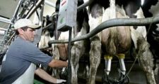 Tamberos solicitan que se les pague $4,50 por litro de leche