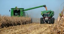 Ministerio de Agroindustria estima que la cosecha de maíz podría llegar a 37 millones de toneladas