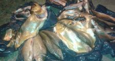 DECOMISO DE ESPECIES ICTICOLAS POR PESCA DEPORTIVA