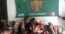DECOMISO DE ESPECIES ICTICOLAS POR PESCA DEPORTIVA