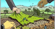 Cambios en la Ley de Tierras facilitan la compra a extranjeros
