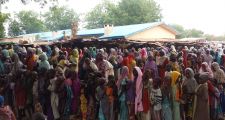 Nigeria: situación sanitaria desastrosa en el estado de Borno