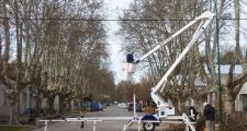 Proponen una nueva Ley provincial de Arbolado Público