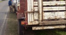 Operativos Dirección General de Seguridad Rural “Los Pumas”,
