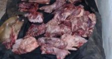 Operativos Dirección General de Seguridad Rural “Los Pumas”,